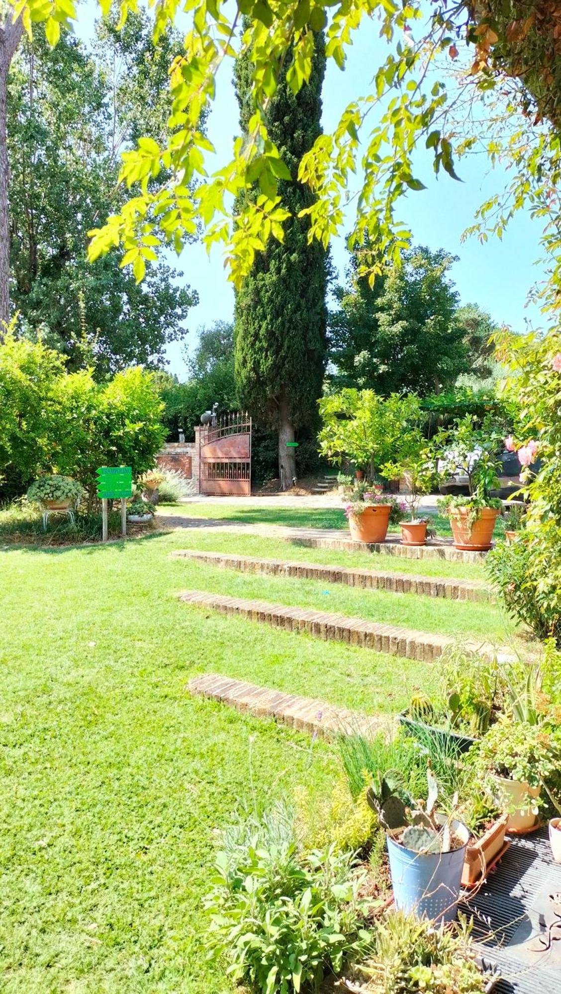 Ca' Dei Gelsi B & B Coriano Dış mekan fotoğraf