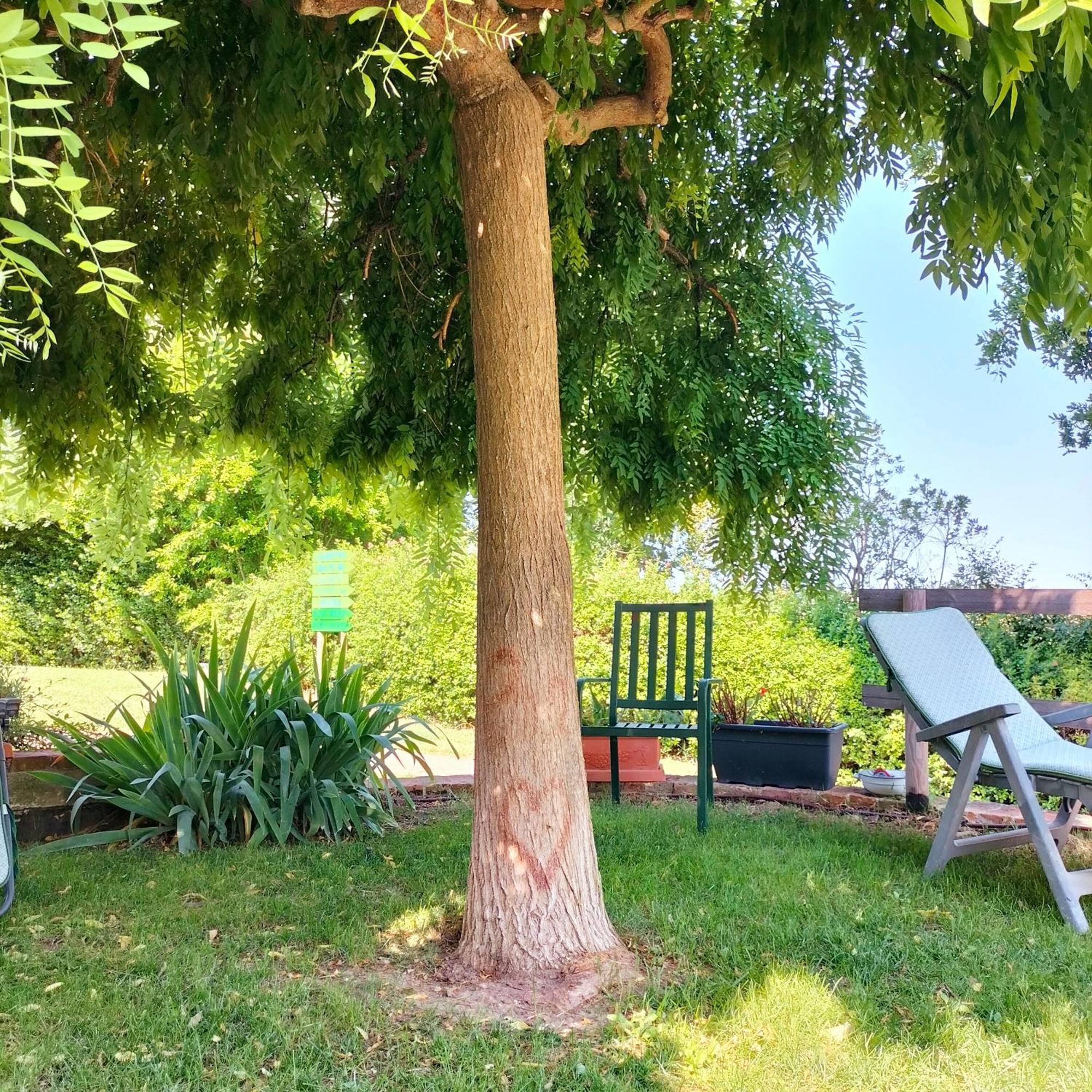 Ca' Dei Gelsi B & B Coriano Dış mekan fotoğraf