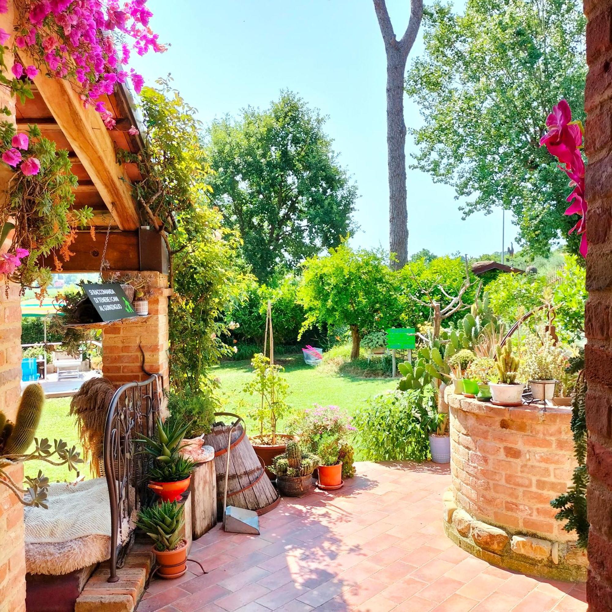 Ca' Dei Gelsi B & B Coriano Dış mekan fotoğraf