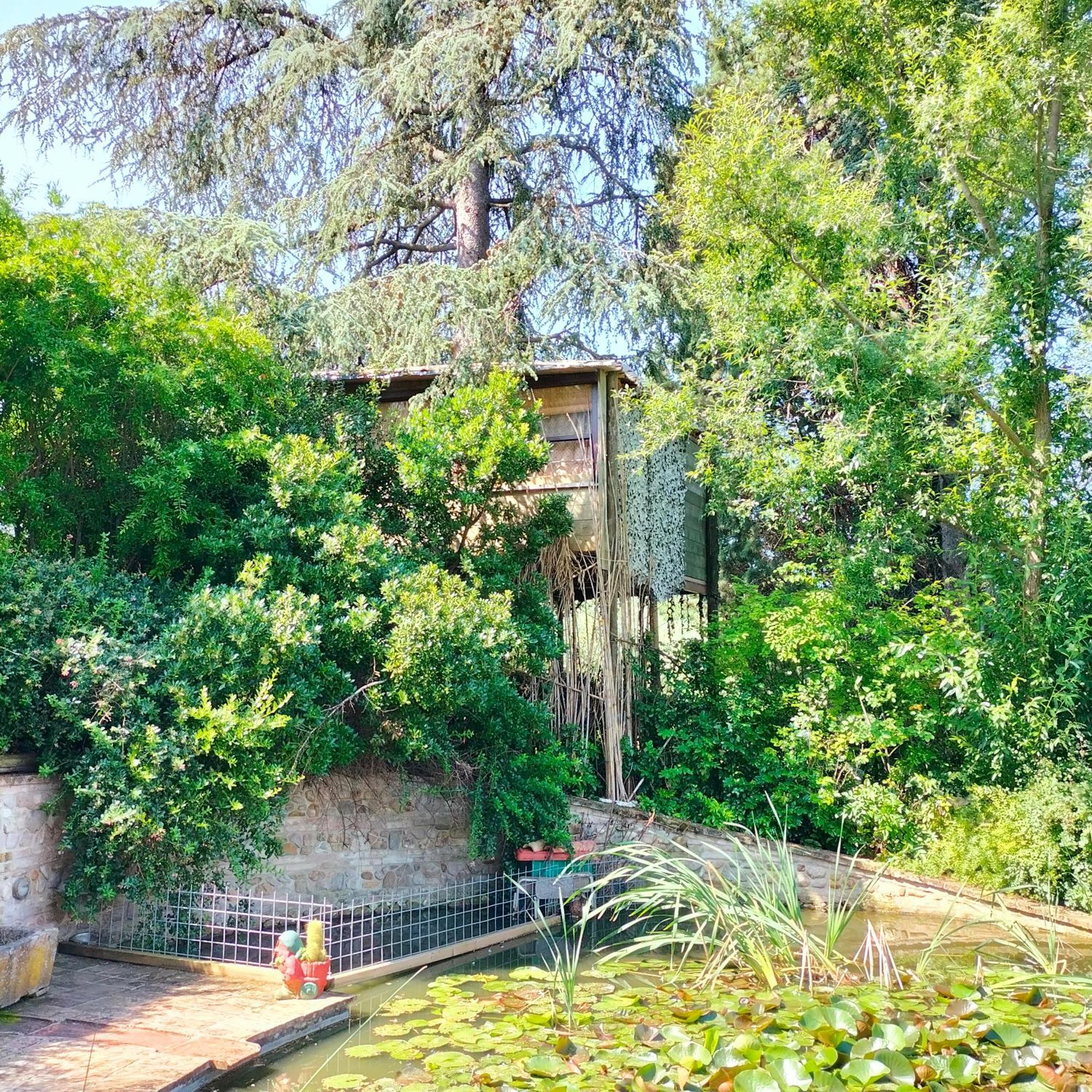 Ca' Dei Gelsi B & B Coriano Dış mekan fotoğraf