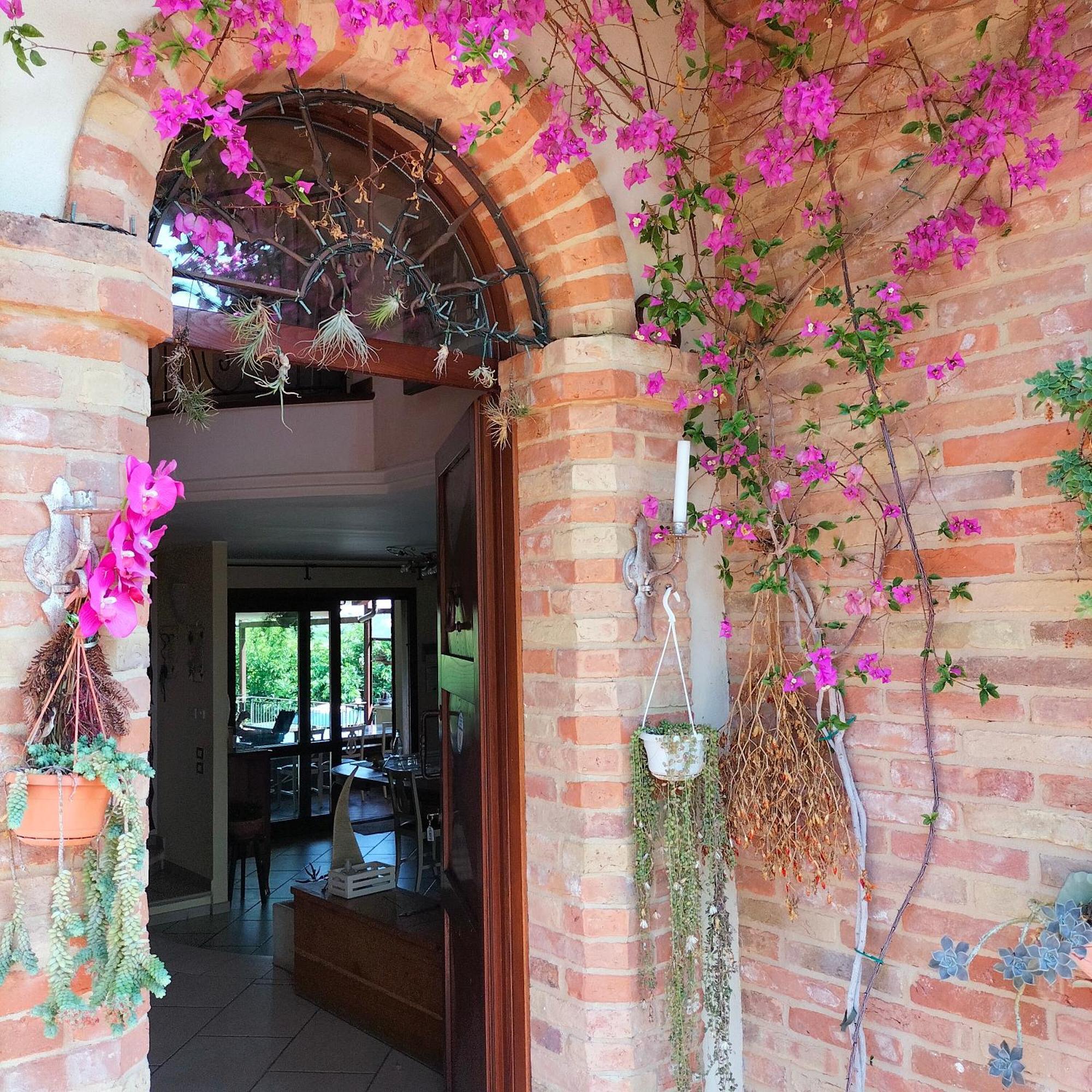 Ca' Dei Gelsi B & B Coriano Dış mekan fotoğraf