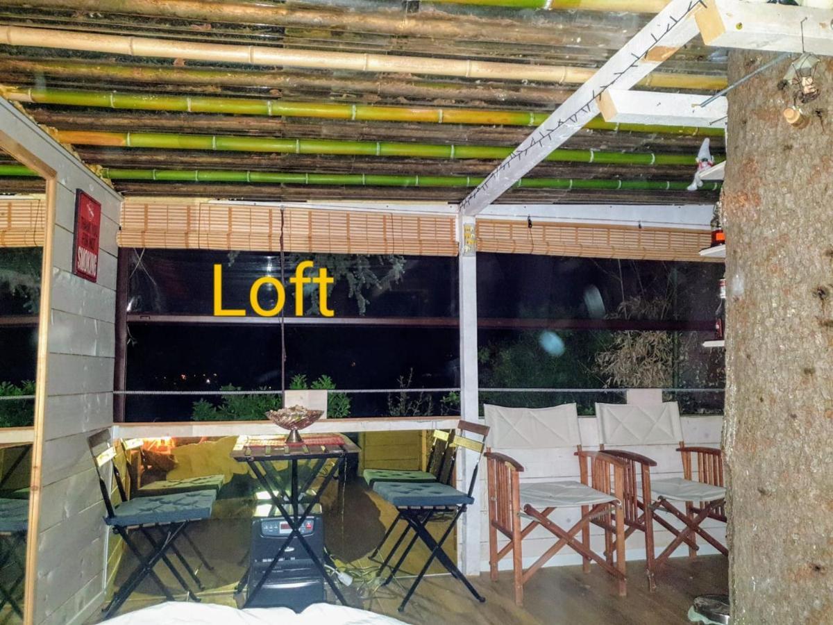 Ca' Dei Gelsi B & B Coriano Dış mekan fotoğraf